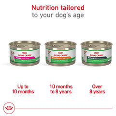 ROYAL CANIN etiqueta nutricional legible con ingredientes clave