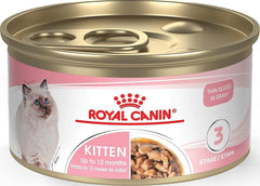 ROYAL CANIN lata frente mostrando diseño y conveniencia