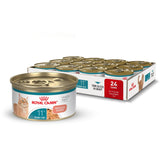 ROYAL CANIN lata frontal 85 g mostrando la marca y la receta senior