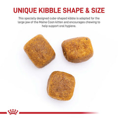 ROYAL CANIN detalle de la croqueta adaptada a mandíbula grande para mejor masticación