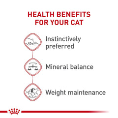 ROYAL CANIN porción servida en plato mostrando facilidad y aceptación