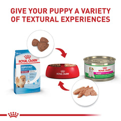 Royal Canin croqueta junto a una mano para mostrar escala y comodidad