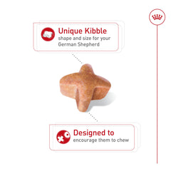 ROYAL CANIN primer plano de textura de croqueta para fácil masticación