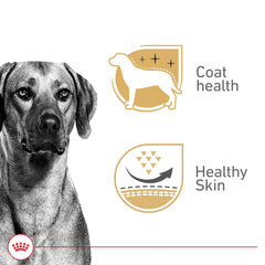 ROYAL CANIN primer plano de textura en gel resaltando palatabilidad