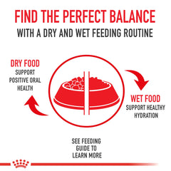 ROYAL CANIN detalle de trocitos en salsa resaltando textura apetecible