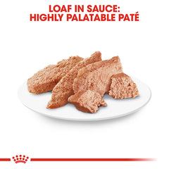 ROYAL CANIN sobre abierto con paté en salsa listo para servir, facilita la alimentación