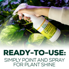 Smart Grower spray en planta de interior, limpieza y renovación de hojas