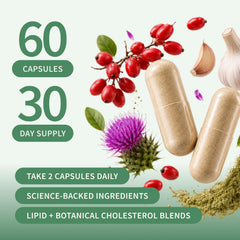 Snap Supplements cápsulas en mano para mostrar escala y dosis