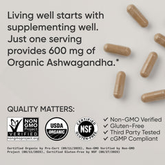 Sports Research raíz de ashwagandha orgánica como ingrediente natural y originario