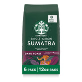 Starbucks bolsa frontal mostrando marca y tamaño, conveniencia para almacenar