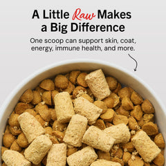 Stella & Chewy's primeros planos de patty liofilizado y textura nutritiva