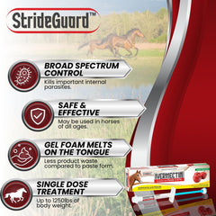 StrideGuard aplicación oral en caballo para administración rápida y segura
