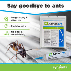 Syngenta Advion ant gel syringe close-up highlighting applicator precision