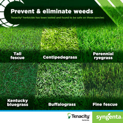 Syngenta Tenacity en aplicación sobre césped mostrando control de malezas