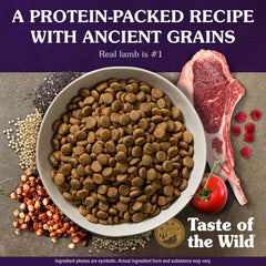 Taste of the Wild textura del kibble cerca que facilita masticación y palatabilidad