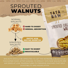 TATA RAW nueces servidas en un plato como snack saludable y natural