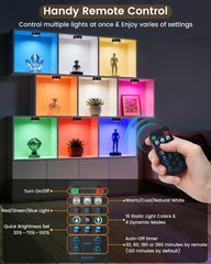 TECOMLIGHT remote with wall holder showing organized storage convenience