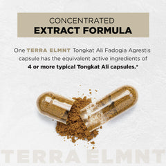 TERRA ELMNT etiqueta nutricional en primer plano con ingredientes estandarizados