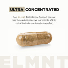 TERRA ELMNT sachet con extractos en polvo, muestra concentración de ingredientes