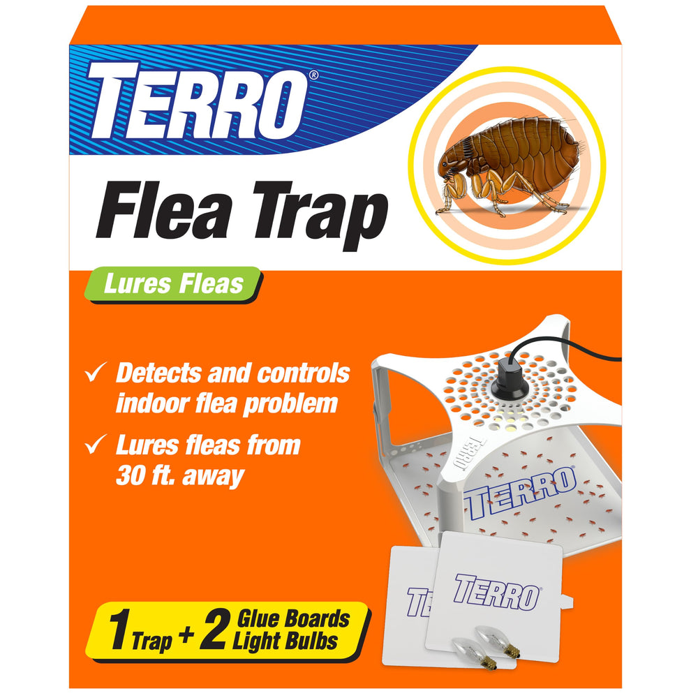 Terro trampa frontal mostrando diseño y puerto de enchufe, seguridad interior