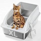 Tevila bandeja frontal XL mostrando espacio amplio para gatos grandes