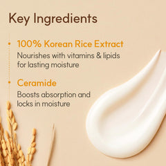 The Face Shop crema Rice Ceramide etiqueta de ingredientes explica ceramidas vegetales