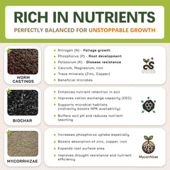 Top Tier Genetics sustrato AROID en maceta con Monstera, promueve raíces sanas