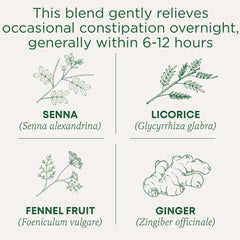 Traditional Medicinals bolsita tomada de cerca, infusión lista y cómoda