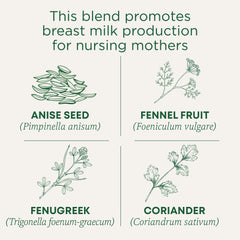 Traditional Medicinals taza de infusión preparada ofreciendo sabor reconfortante sin cafeína