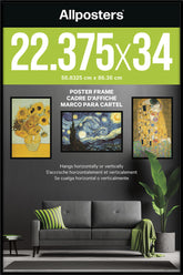 Trends International vista frontal del marco negro mostrando elegancia y protección
