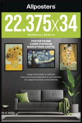Trends International vista frontal del marco negro mostrando elegancia y protección