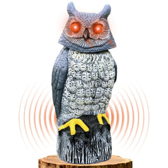 Ugold owl front view showing realistic paint and guarding benefit