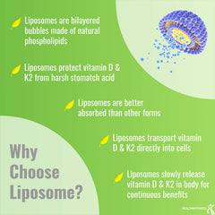 UpNourish ilustración de micelas liposomales para mejor absorción