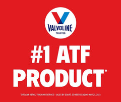 Galón Valvoline MaxLife en mano para comparar tamaño y facilidad de uso