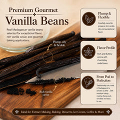 Vanilla Bean Kings primer plano de semillas y textura que mejora sabor