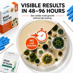 Varify detalle de placa petri con crecimiento visible para confirmar presencia