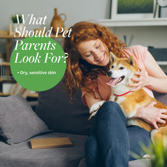 Veterinary Formula aplicación en perro para un baño suave y sin irritación