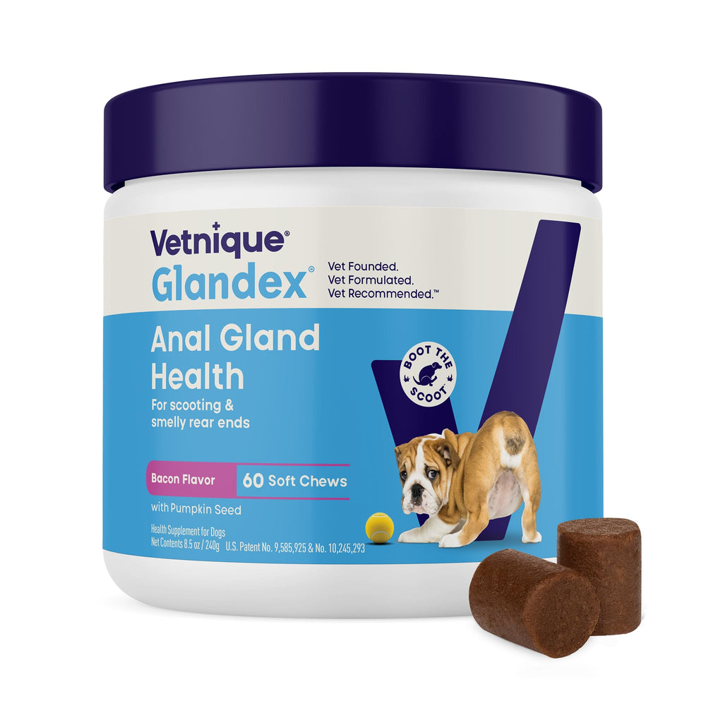 Vetnique Glandex embalaje frontal mostrando producto y beneficio digestivo