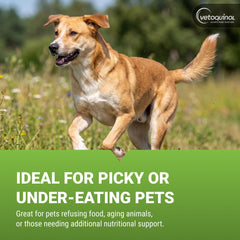 Vetoquinol Nutri-Cal gel en la nariz de la mascota estimulando apetito