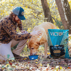 VICTOR close de la textura del kibble que destaca proteínas y apetito