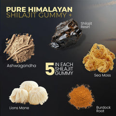 Vitamax ingredientes naturales combinados: shilajit, sea moss y hierbas