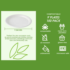 Vplus plato en mano para comparar tamaño y confirmar la robustez del producto