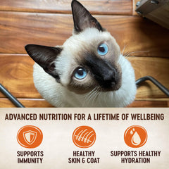 Wellness ingredientes principales atún y salmón visibles, alta proteína