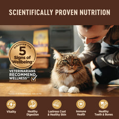 Wellness sobre en mano para porción individual práctica y sin desperdicio