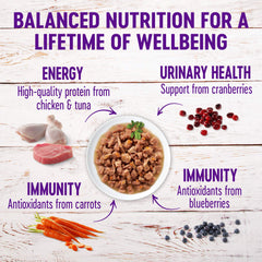 Wellness primer plano de trozos en salsa que realzan apetito del gato