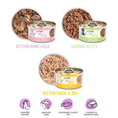 Weruva pack de 12 latas con variedad Kitten Zoomies para rotación de sabores