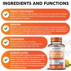 Wholesome Wellness capsules beside a ruler for serving-size and supply clarity