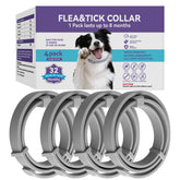 Wiiks&Wooks collar frontal pack cuatro unidades para protección prolongada