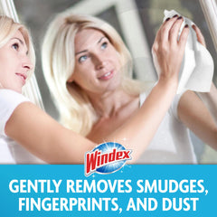 Windex uso en parabrisas de automóvil para retoques inmediatos