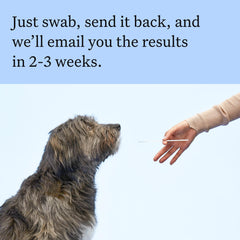 Wisdom Health pantalla con resultados, informe de razas claro